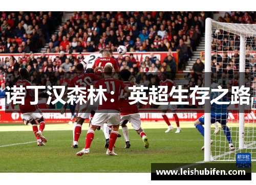 诺丁汉森林：英超生存之路